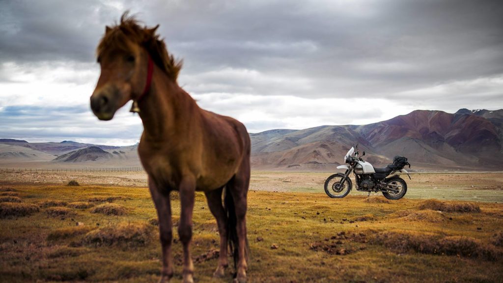 Himalayan 2020 Royal Enfield Open Month giugno concessionari Italia