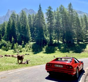 Stella Alpina 2020 dolomiti