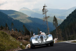 Stella Alpina 2020 dolomiti