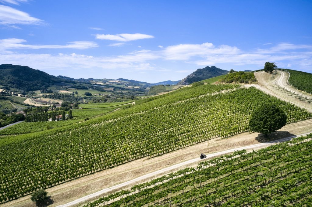 Nuova livrea GP White per la Ducati Multistrada 950 S