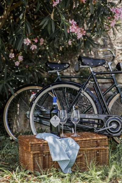 bici d’epoca Museo Nicolis vini Casato Possessioni Serego Alighieri