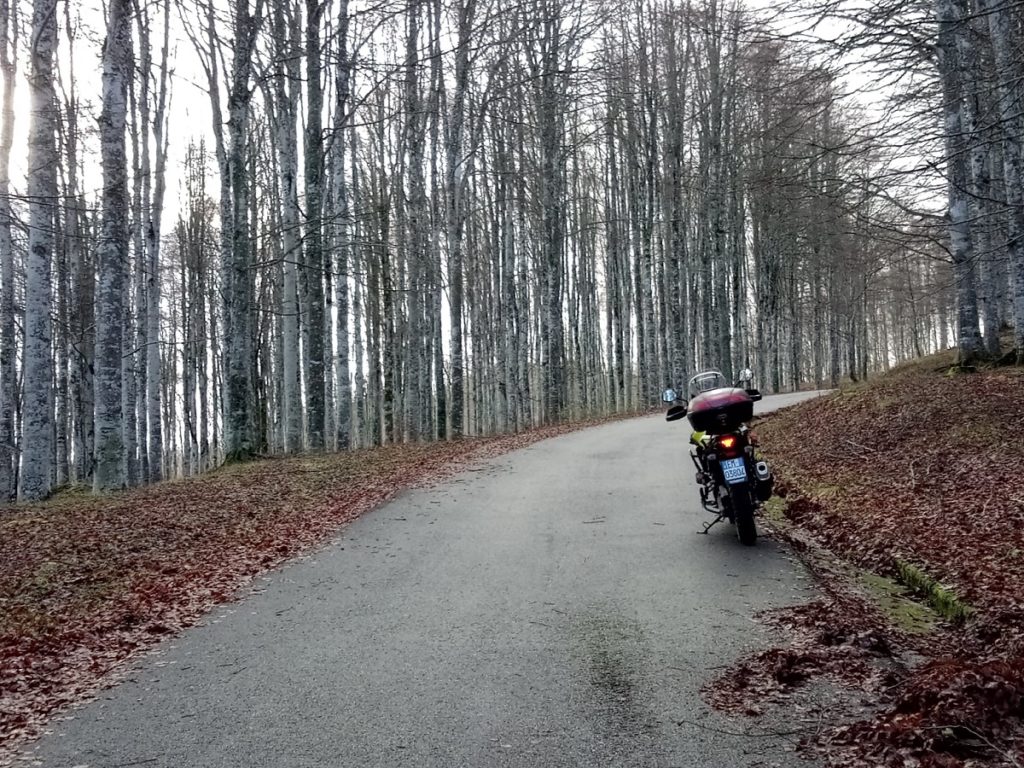 Anlas Winter Grip Plus una recensione iper-dettagliata tamai francesco recensioni test bagnato gomme moto neve invernali prova