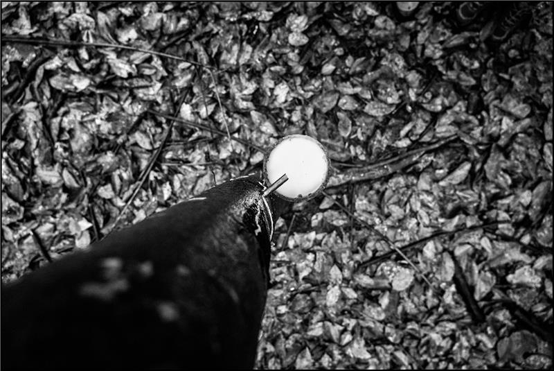 pneumatico fsc Pirelli produce il primo al mondo certificato eco ryon gomma naturale bmw sostenibilità gomma gomme pneumatici