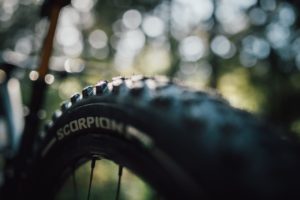 Rogue Racing Gravity pneumatici MTB Pirelli team Theory Global Enduro