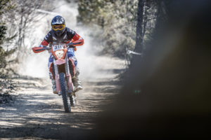 Pirelli Scorpion Pro KTM motociclistico pneumatici trofeo enduro 