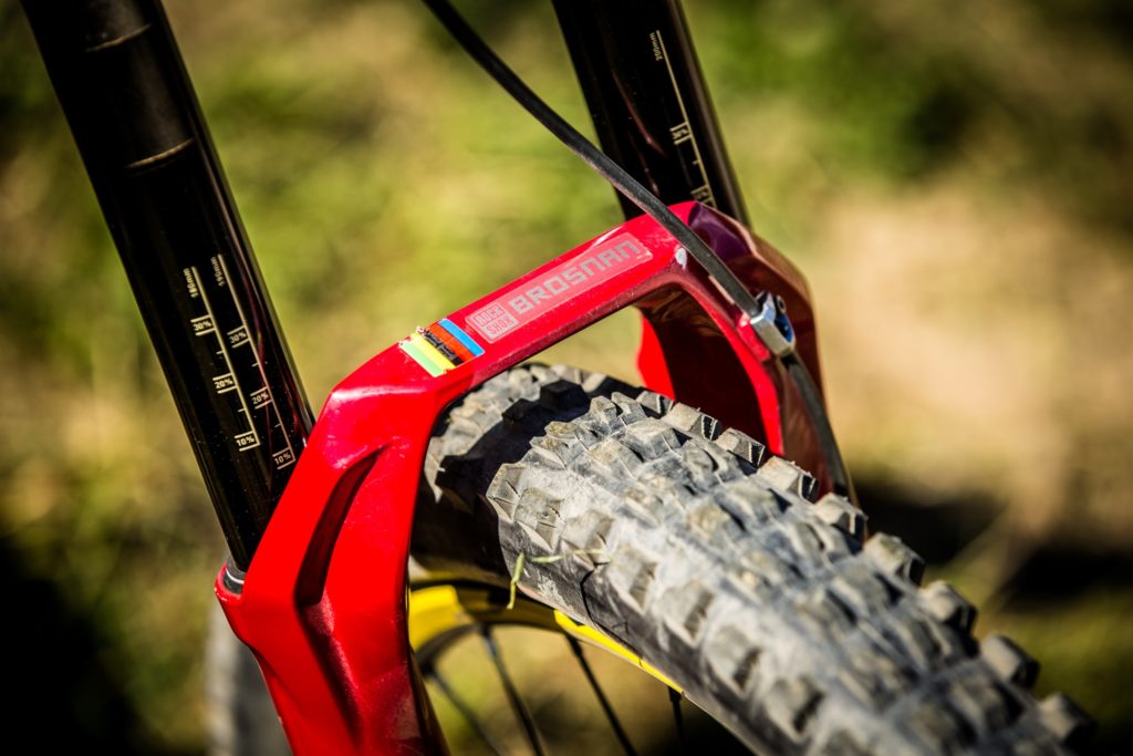 Maxxis Minion pneumatici MTB Colin Bailey DHF DHR II gomme