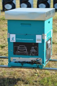 Bee My Job Petronas Lubricants Italy PLI Cambalache Apicolturaurbana.it. 